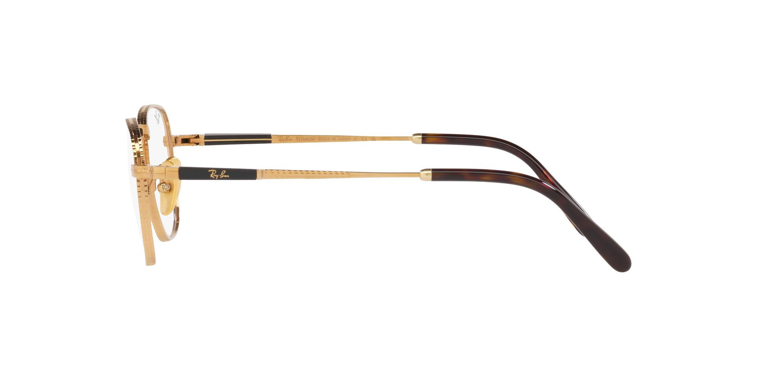 RAY-BAN RX8258V FRANK TITANIUM 1220 48