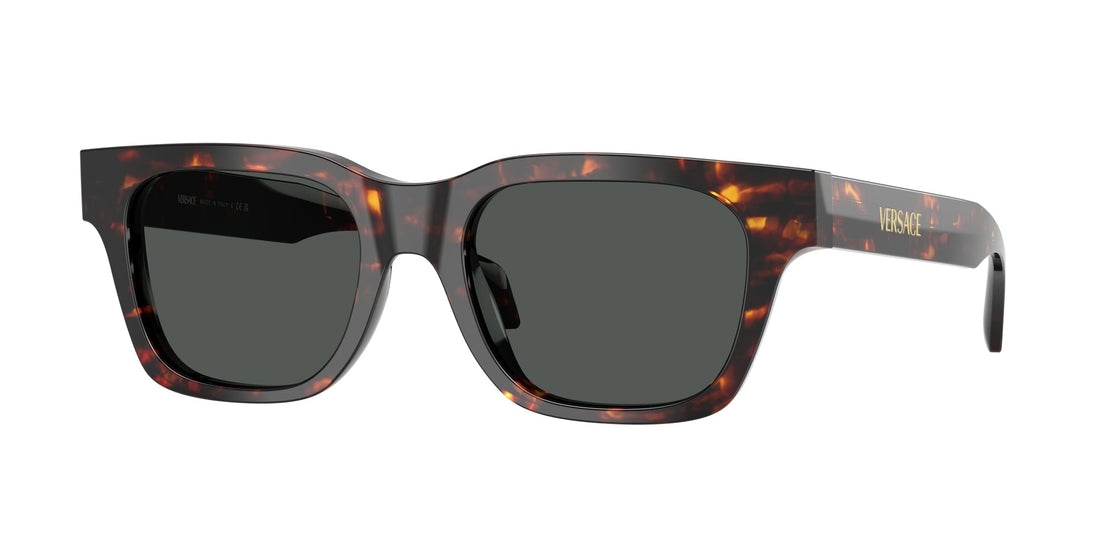 Translation missing: es.seo.product.type.gafas-de-sol versace ve4486 550987 havana square masculino talla 52mm - Translation missing: es.seo.product.alt.imagen-principal