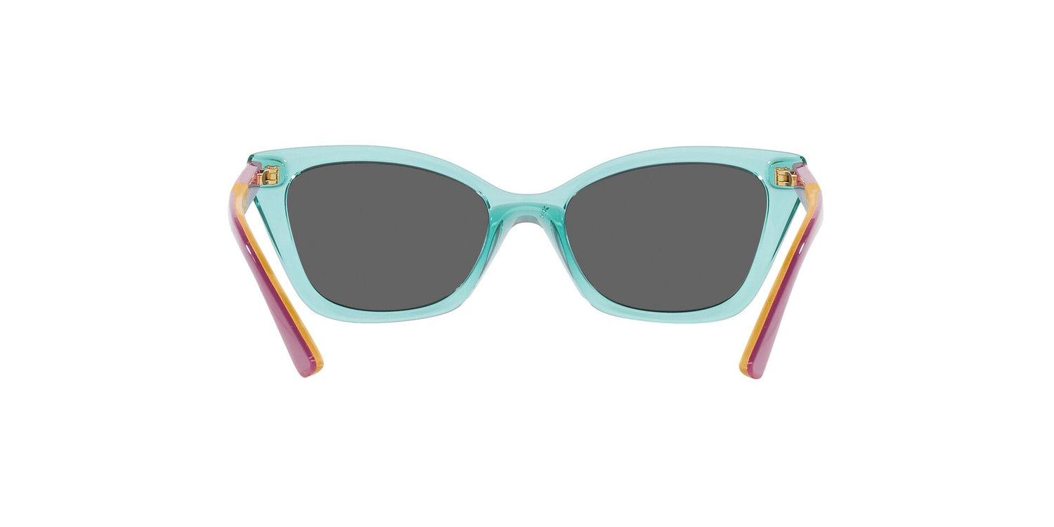 VOGUE EYEWEAR VJ2020 303287 48