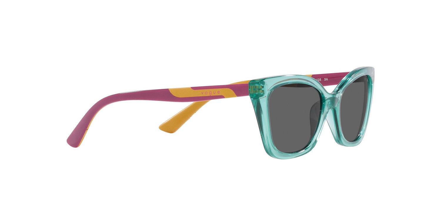 VOGUE EYEWEAR VJ2020 303287 48