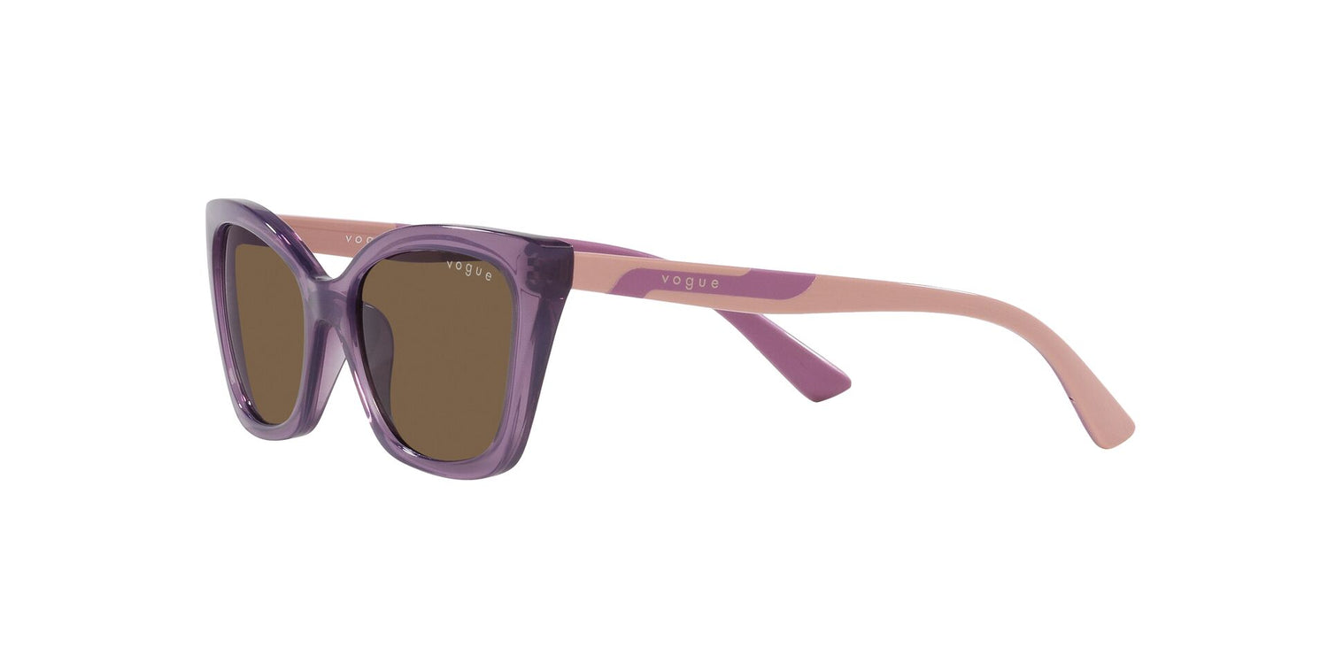 VOGUE EYEWEAR VJ2020 306473 48