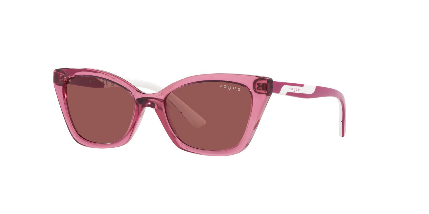 VOGUE EYEWEAR VJ2020 306569 48