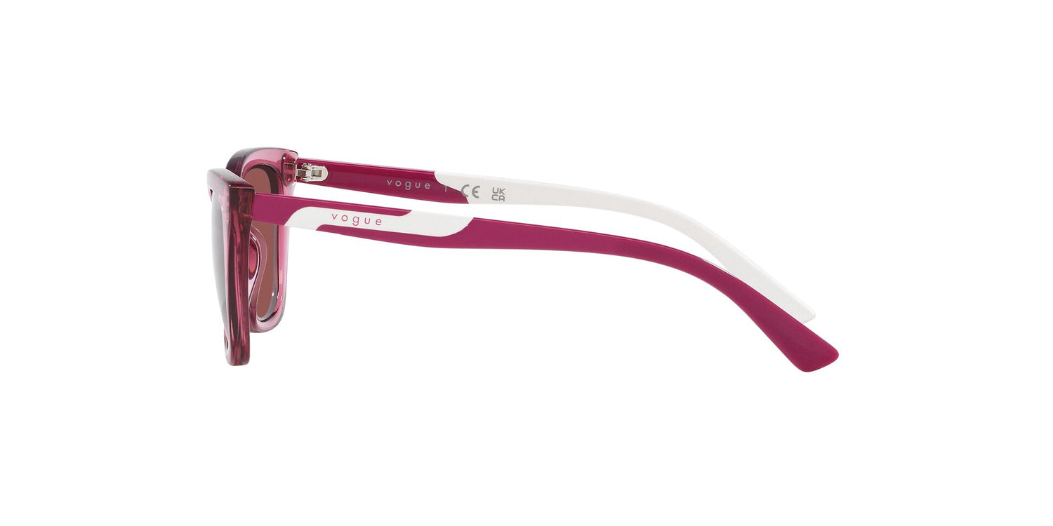 VOGUE EYEWEAR VJ2020 306569 48