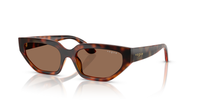 VOGUE EYEWEAR VJ2029 W65673 52