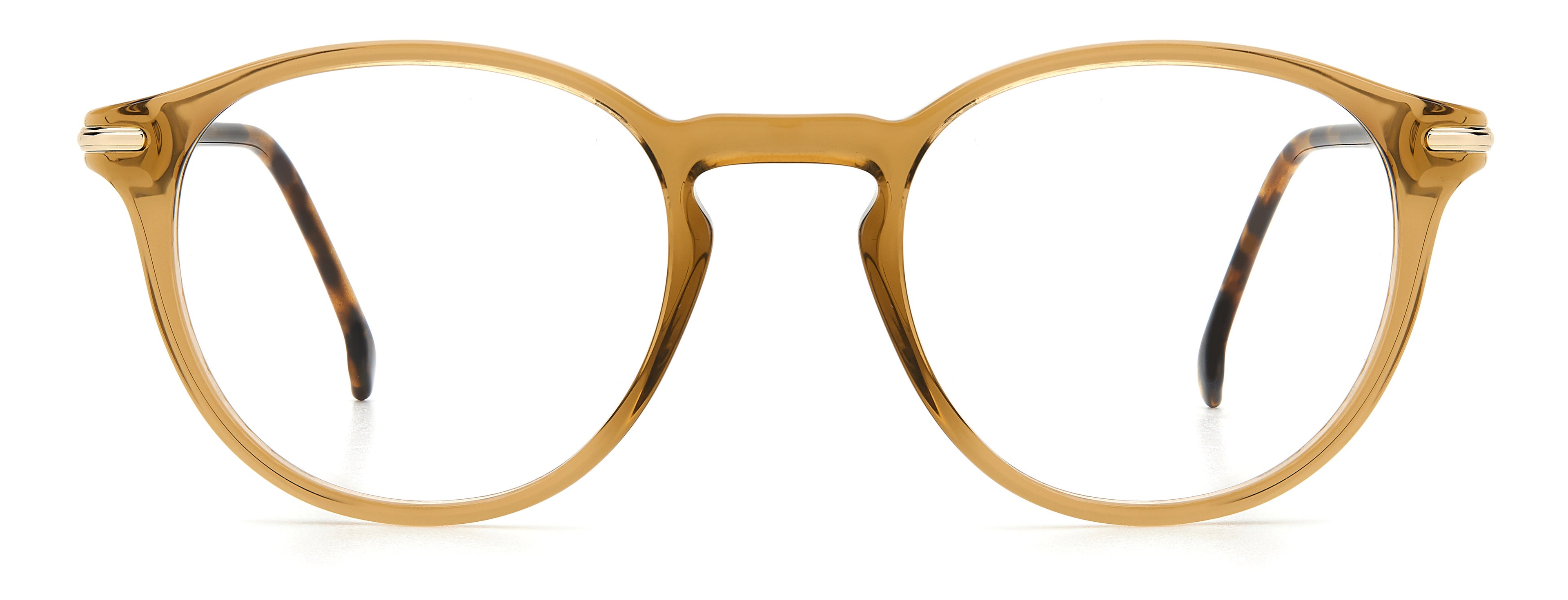 CARRERA 284 10A 49