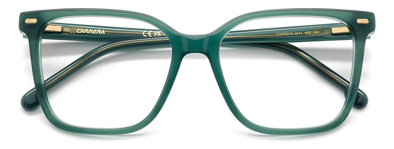 CARRERA 3011 1ED 53