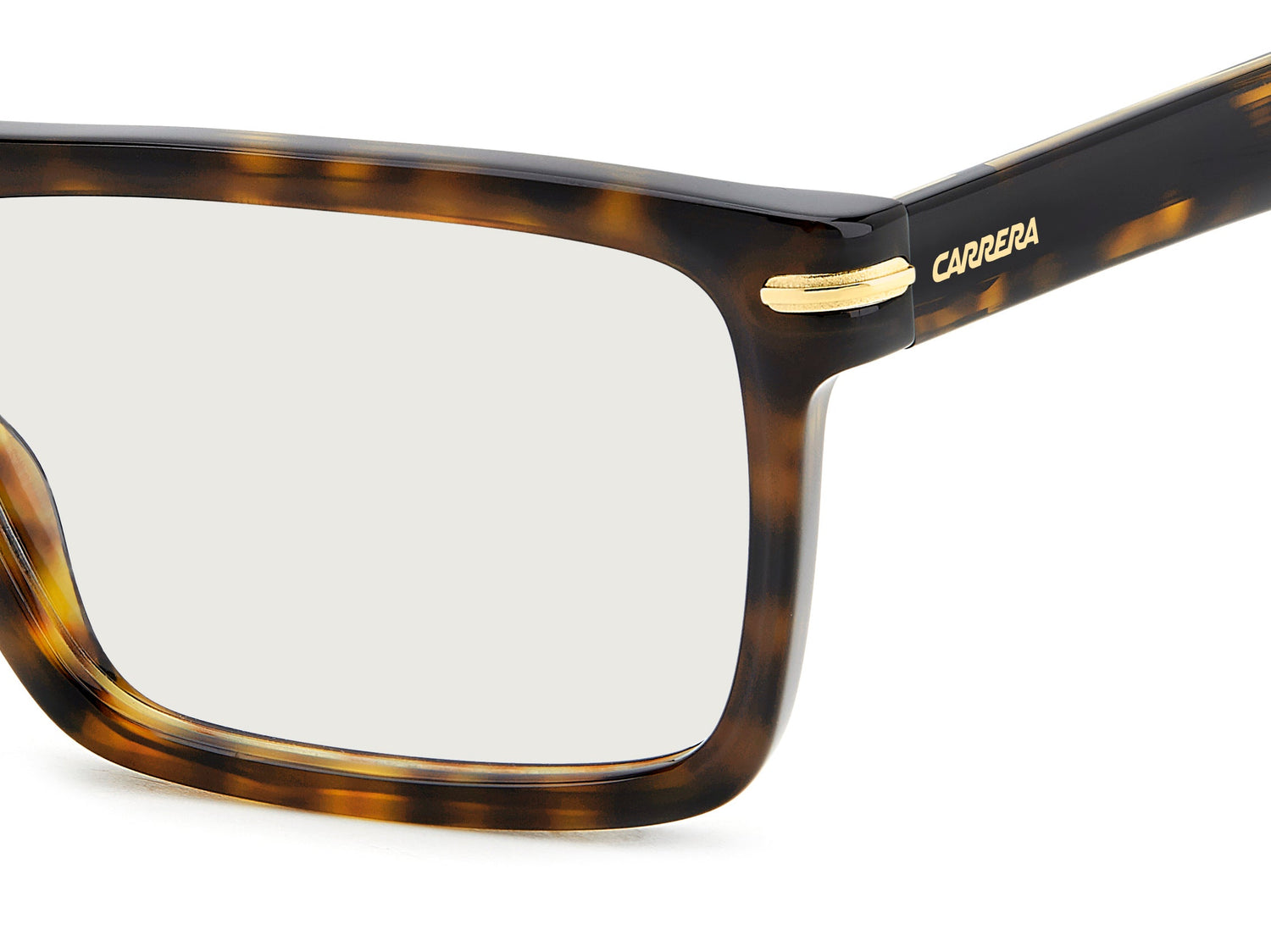 CARRERA 344 QUM 55