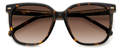 CARRERA 3002/S 086 HA 55