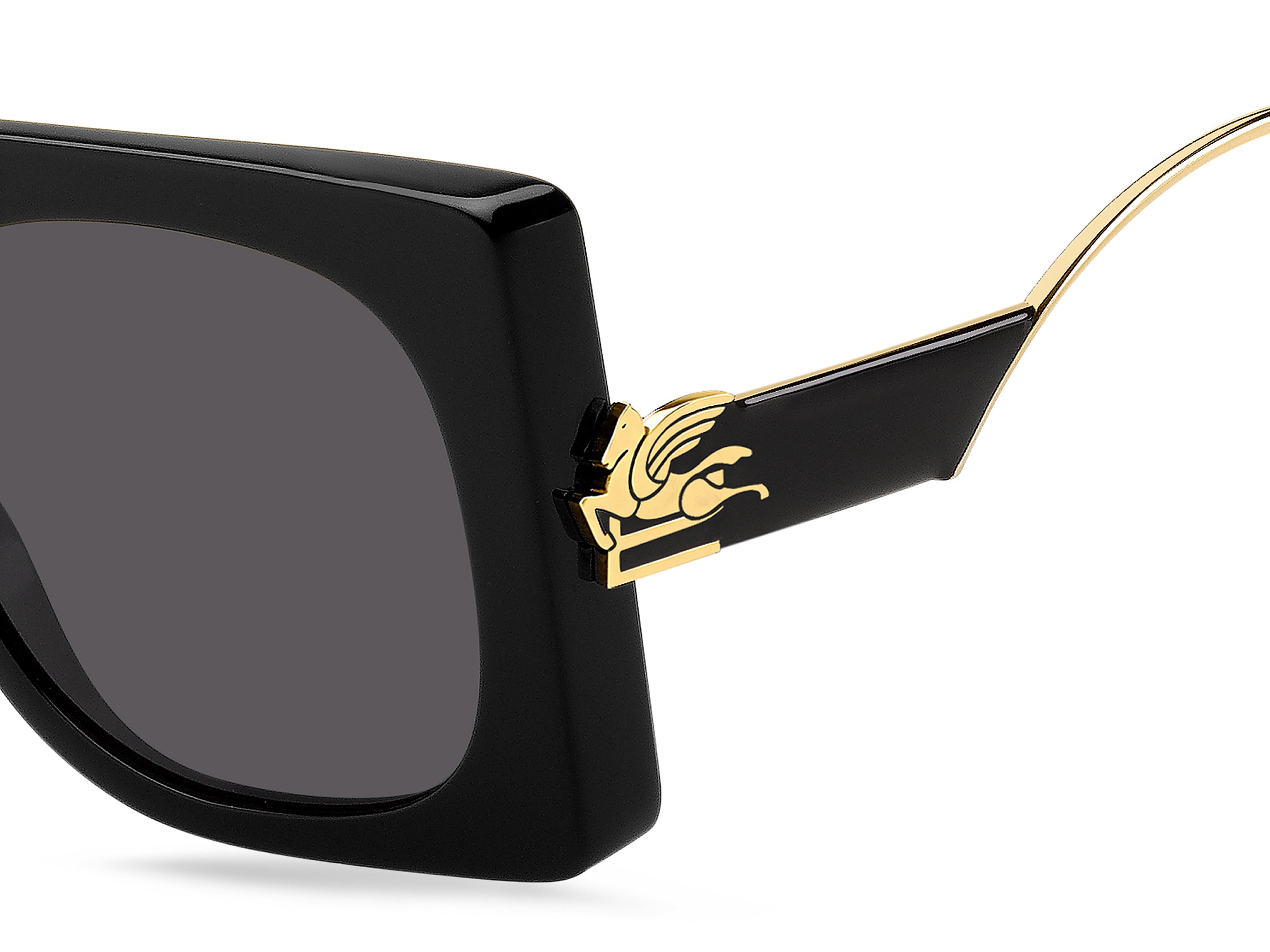 ETRO 0026/S 807 IR 54
