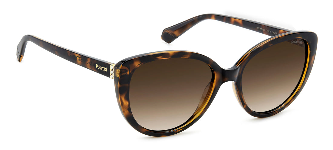 Translation missing: es.seo.product.type.gafas-de-sol polaroid pld 4176/s/x 086 la havana cat eye femenino talla 56mm - Translation missing: es.seo.product.alt.imagen-secundaria