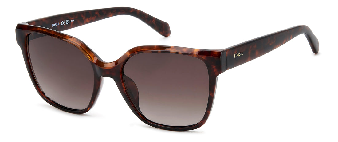 Translation missing: es.seo.product.type.gafas-de-sol fossil fos 3170/g/s 086 ha havana cat eye femenino talla 55mm - Translation missing: es.seo.product.alt.imagen-principal