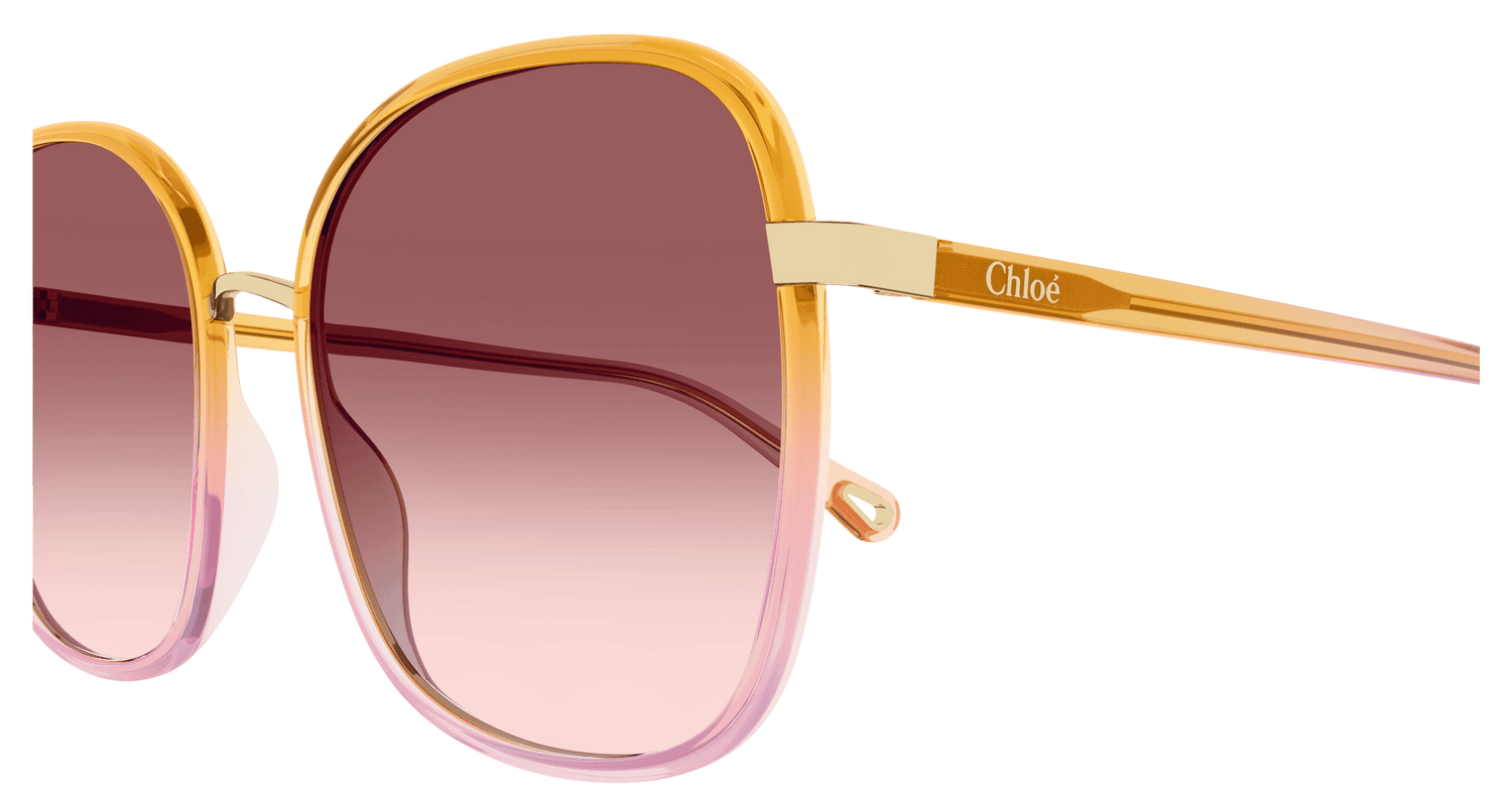 CHLOÉ CH0031S 002 59