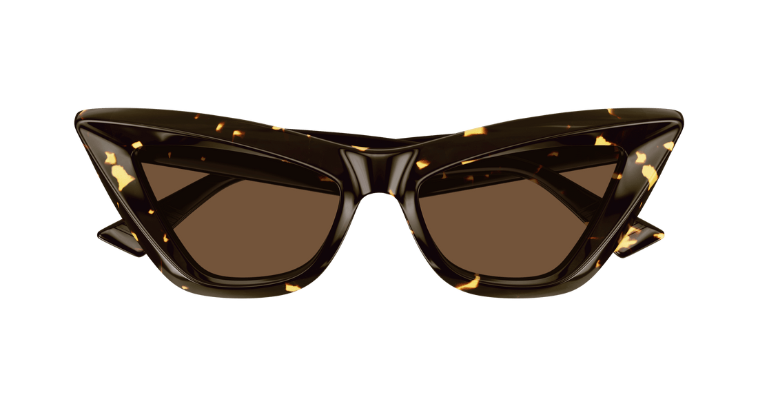 Bottega Veneta BV1101S 002 53
