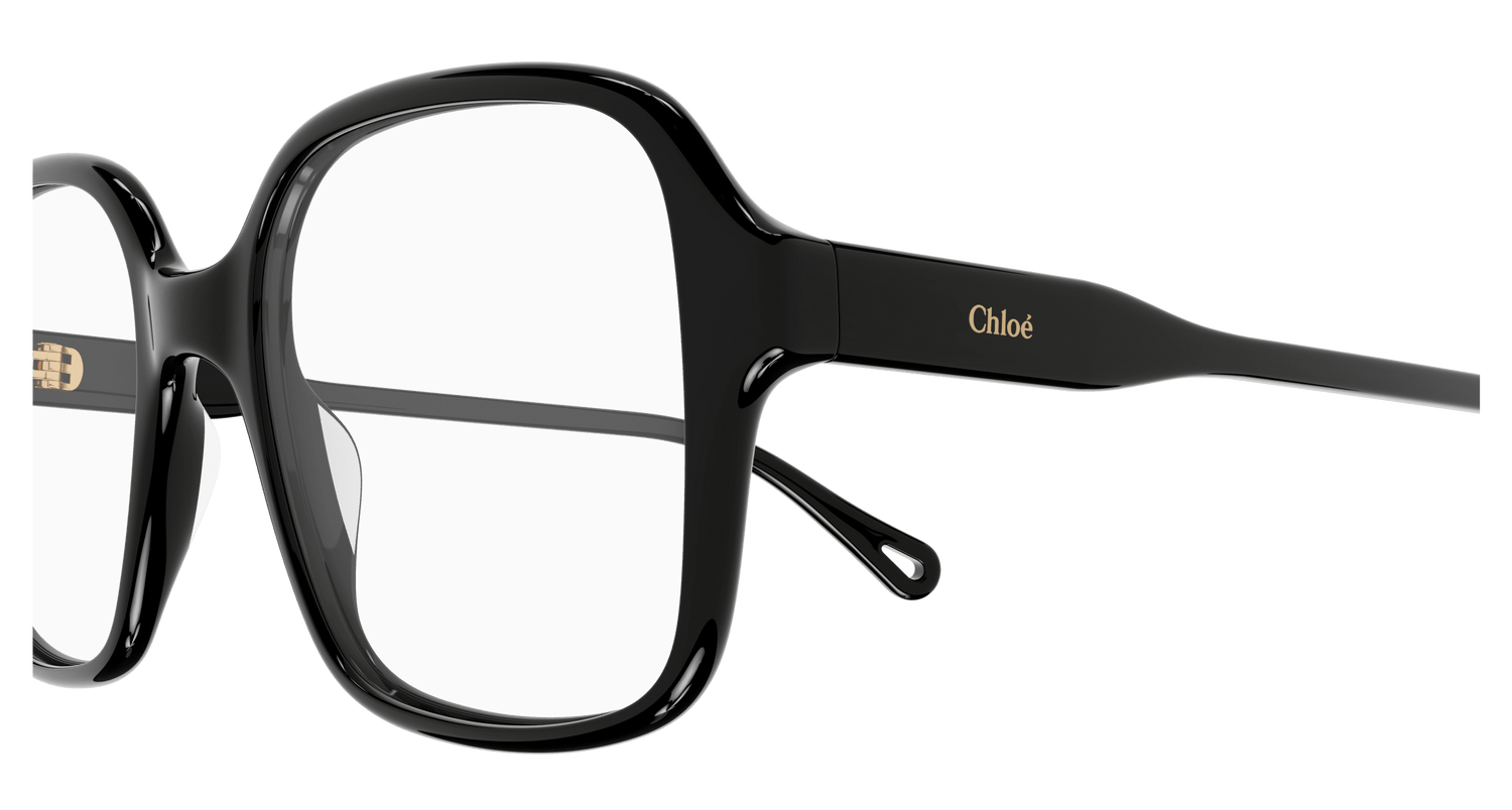 CHLOÉ CH0126O 001 49
