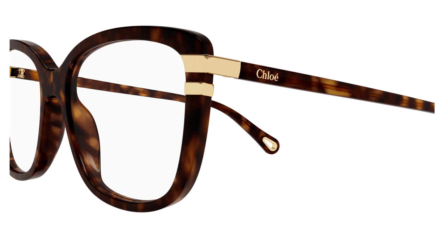 CHLOÉ CH0119O 002 54