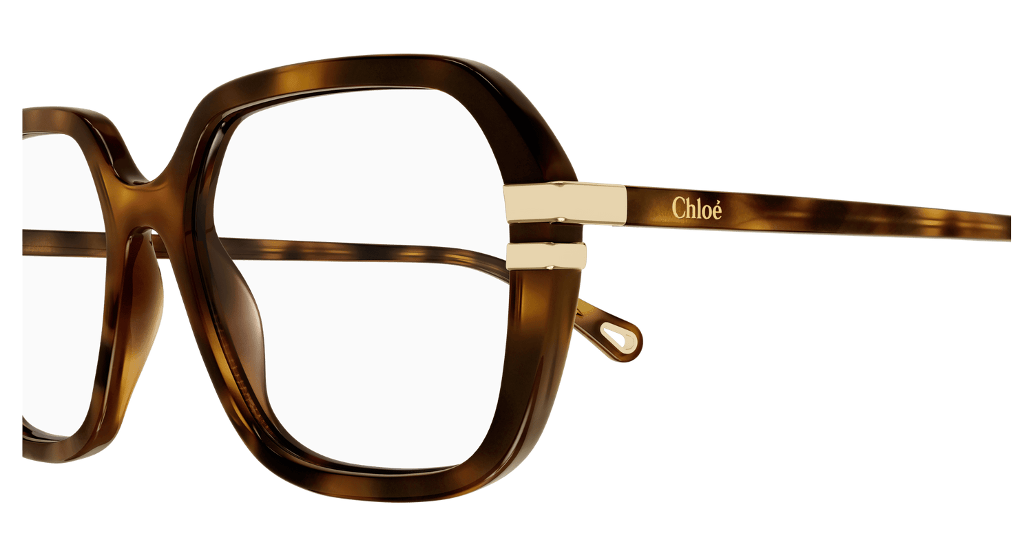 CHLOÉ CH0205O 002 53
