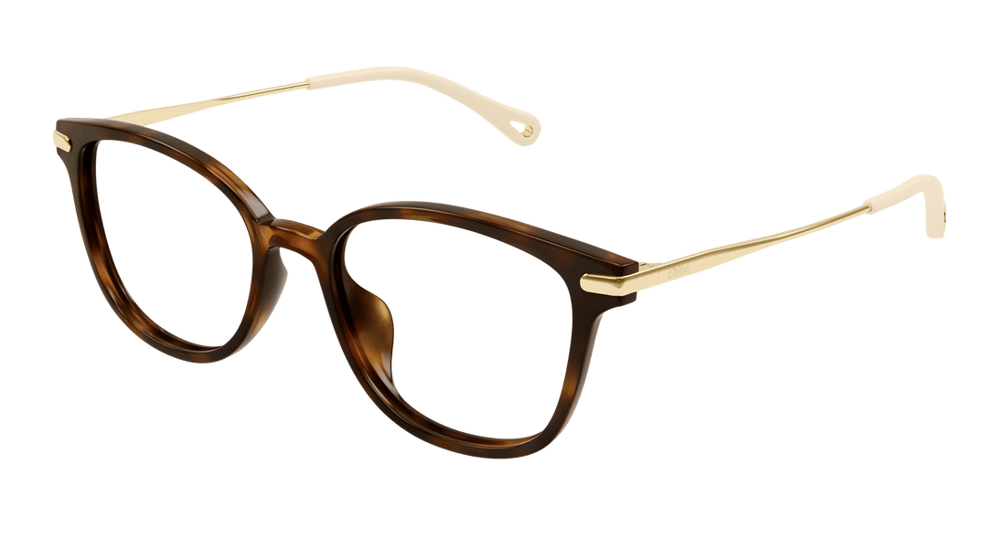 Translation missing: es.seo.product.type.gafas-graduadas chloé ch0219oa 002 femenino talla 53mm - Translation missing: es.seo.product.alt.imagen-principal