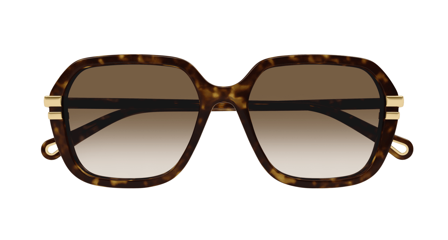 CHLOÉ CH0204S 002 57