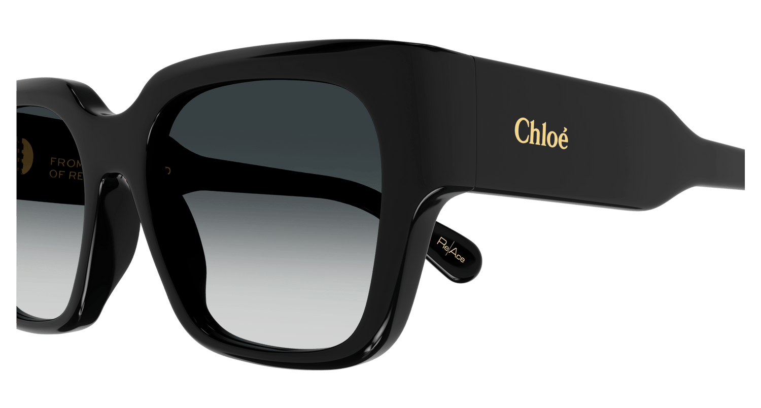 CHLOÉ CH0190S 001 54