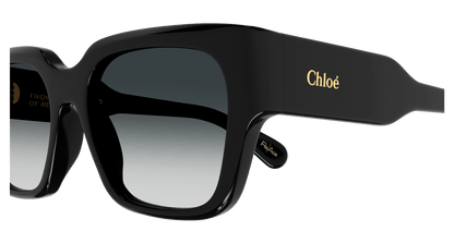 CHLOÉ CH0190S 001 54