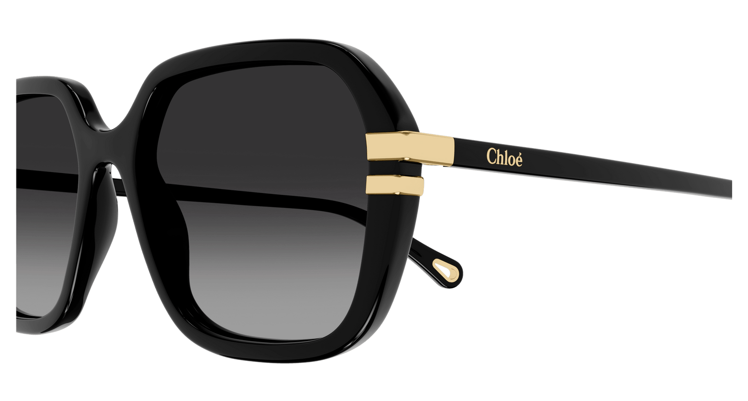 CHLOÉ CH0204S 001 57