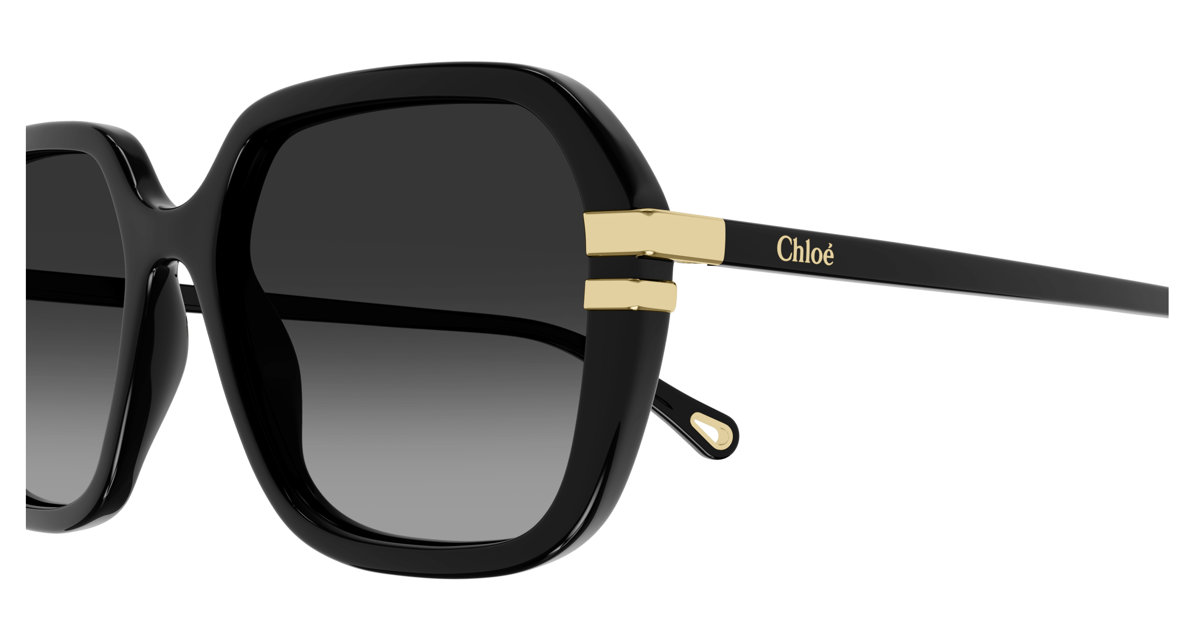 CHLOÉ CH0204S 001 57