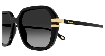 CHLOÉ CH0204S 001 57