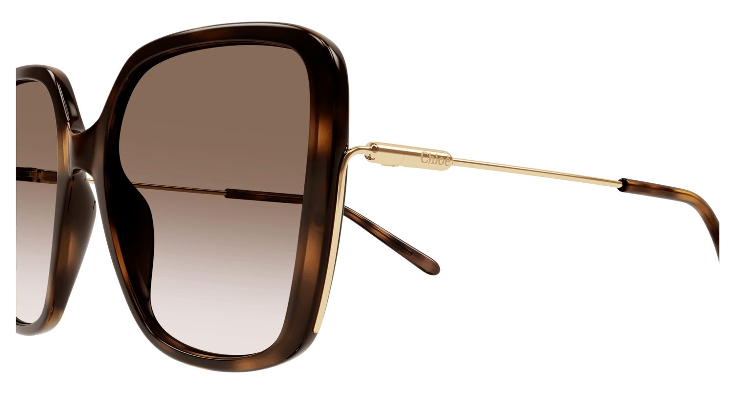 CHLOÉ CH0173S 002 57