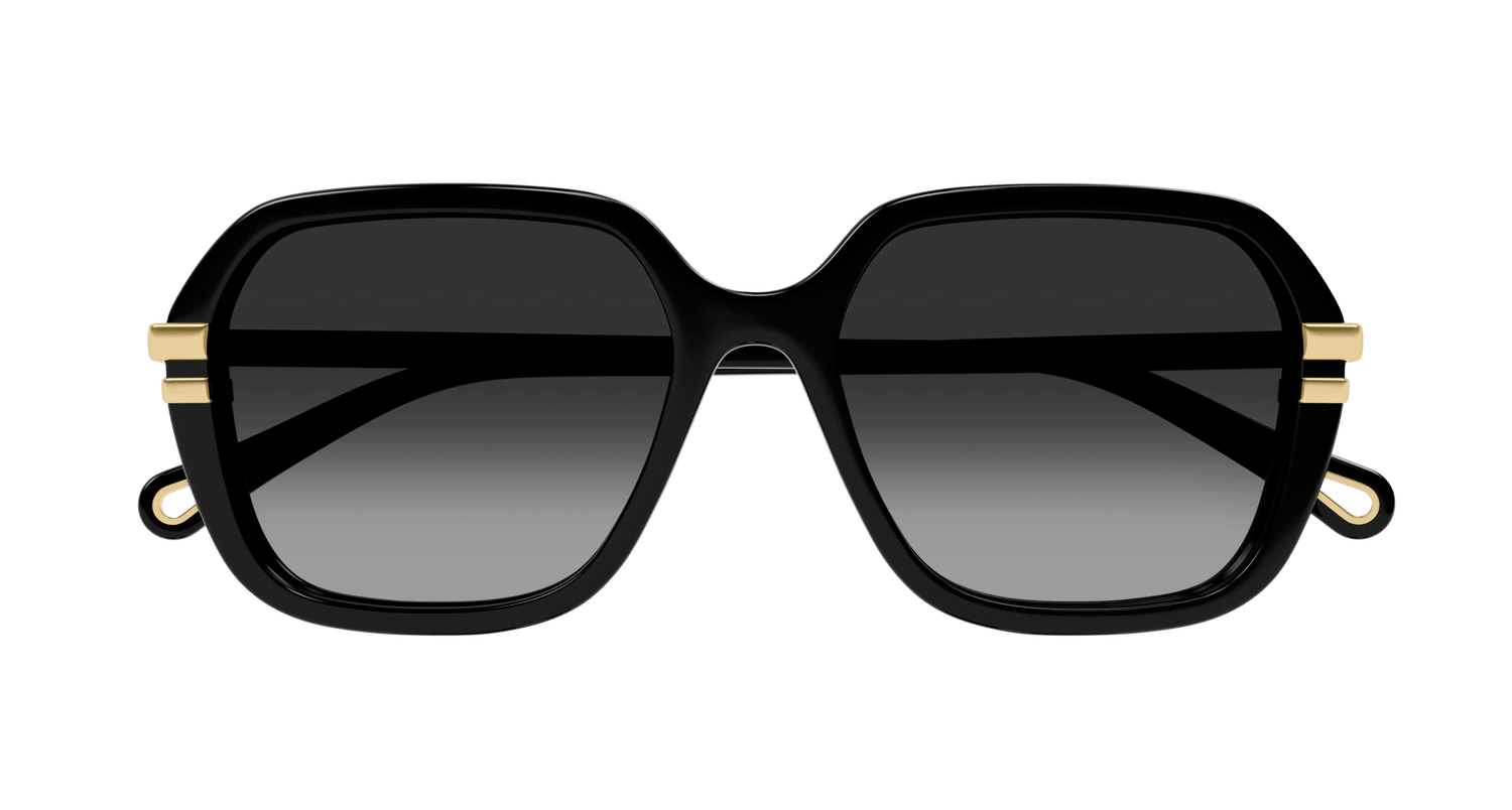 CHLOÉ CH0204S 001 57