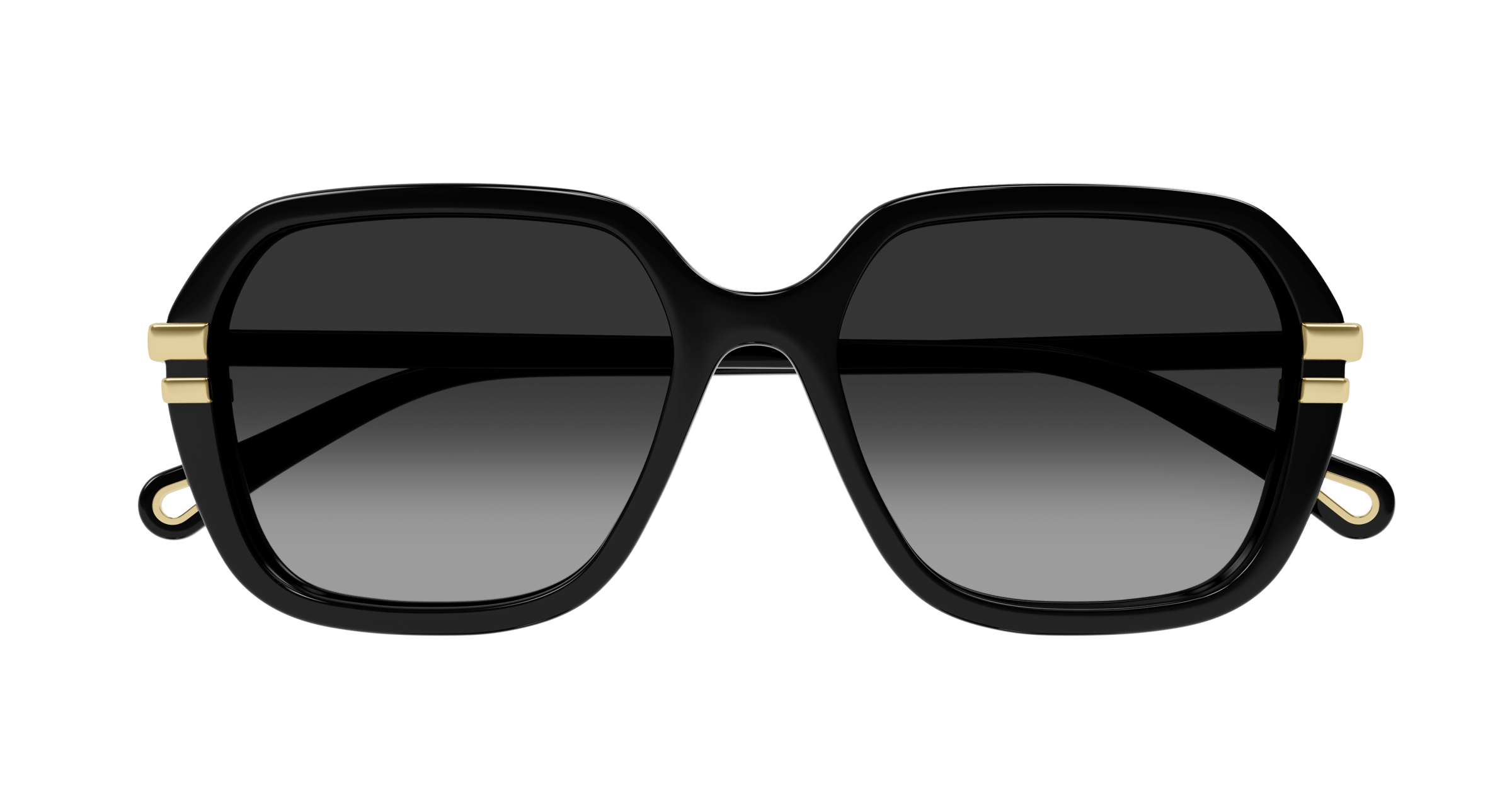CHLOÉ CH0204S 001 57