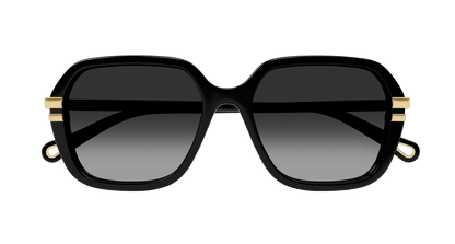 CHLOÉ CH0204S 001 57