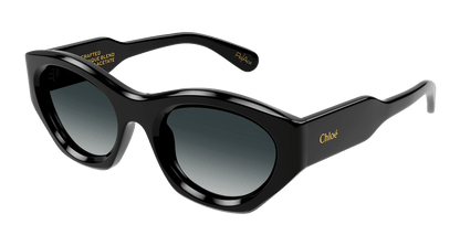CHLOÉ CH0220S 001 53