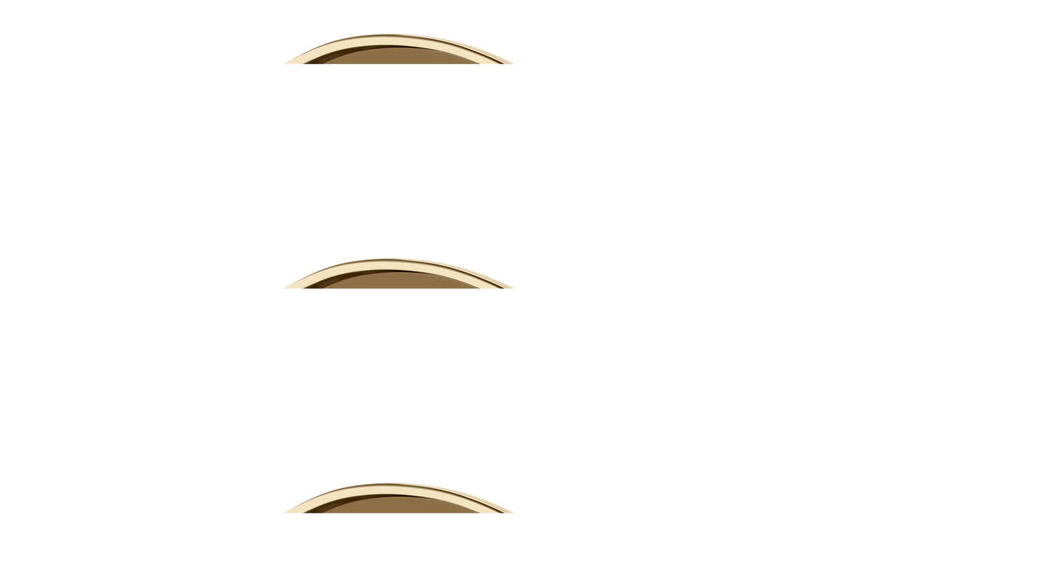 SAINT LAURENT SL 692 004 55