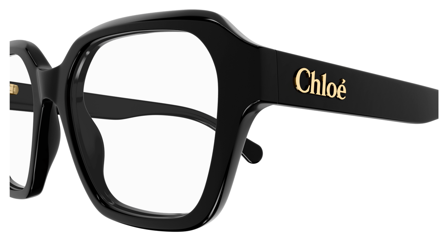 CHLOÉ CH0272O 001 53