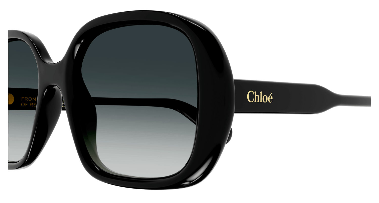 CHLOÉ CH0222S 001 55