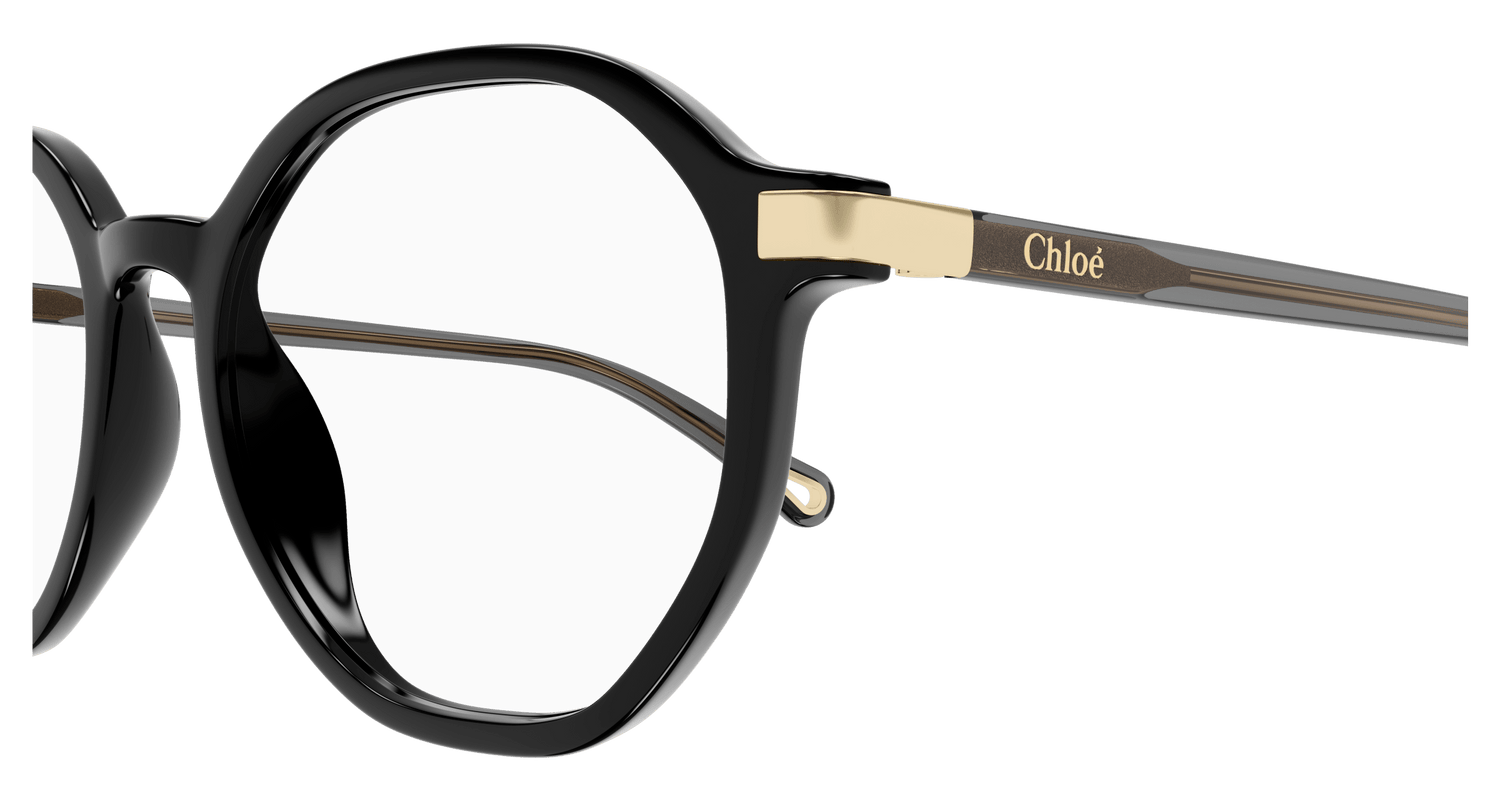 CHLOÉ CH0249OA 001 53