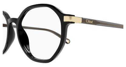 CHLOÉ CH0249OA 001 53