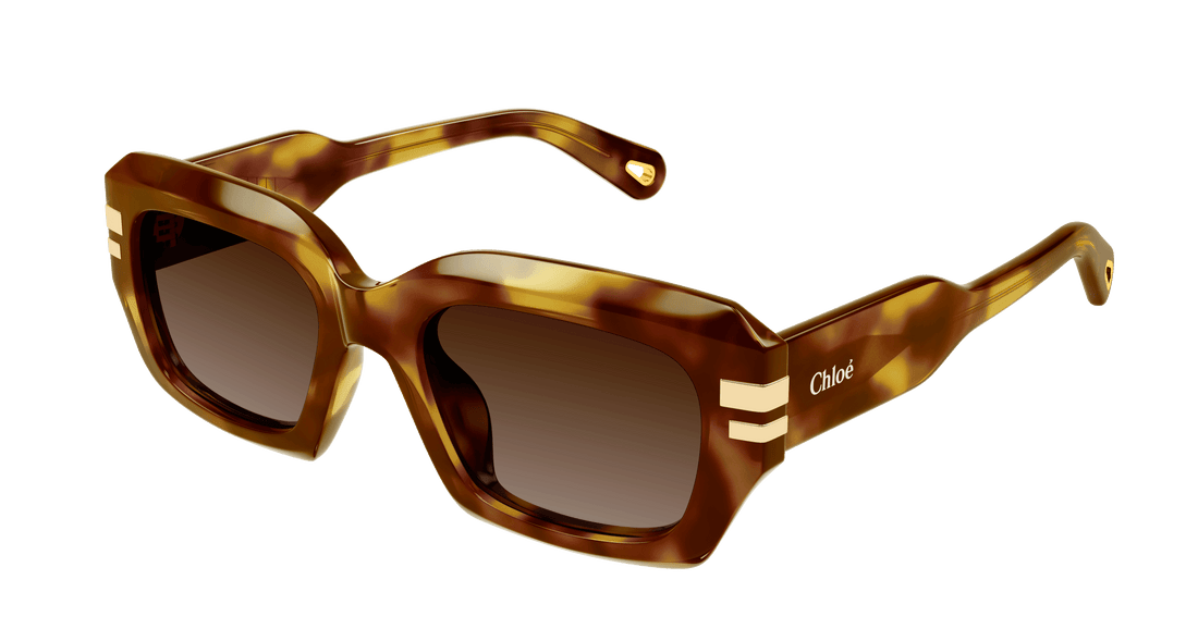 Translation missing: es.seo.product.type.gafas-de-sol chloé ch0256s 002 havana rectangular / squared femenino talla 53mm - Translation missing: es.seo.product.alt.imagen-principal
