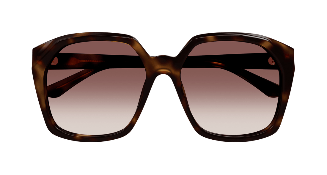 Translation missing: es.seo.product.type.gafas-de-sol chloé ch0280s 006 havana rectangular / squared femenino talla 57mm - Translation missing: es.seo.product.alt.imagen-secundaria