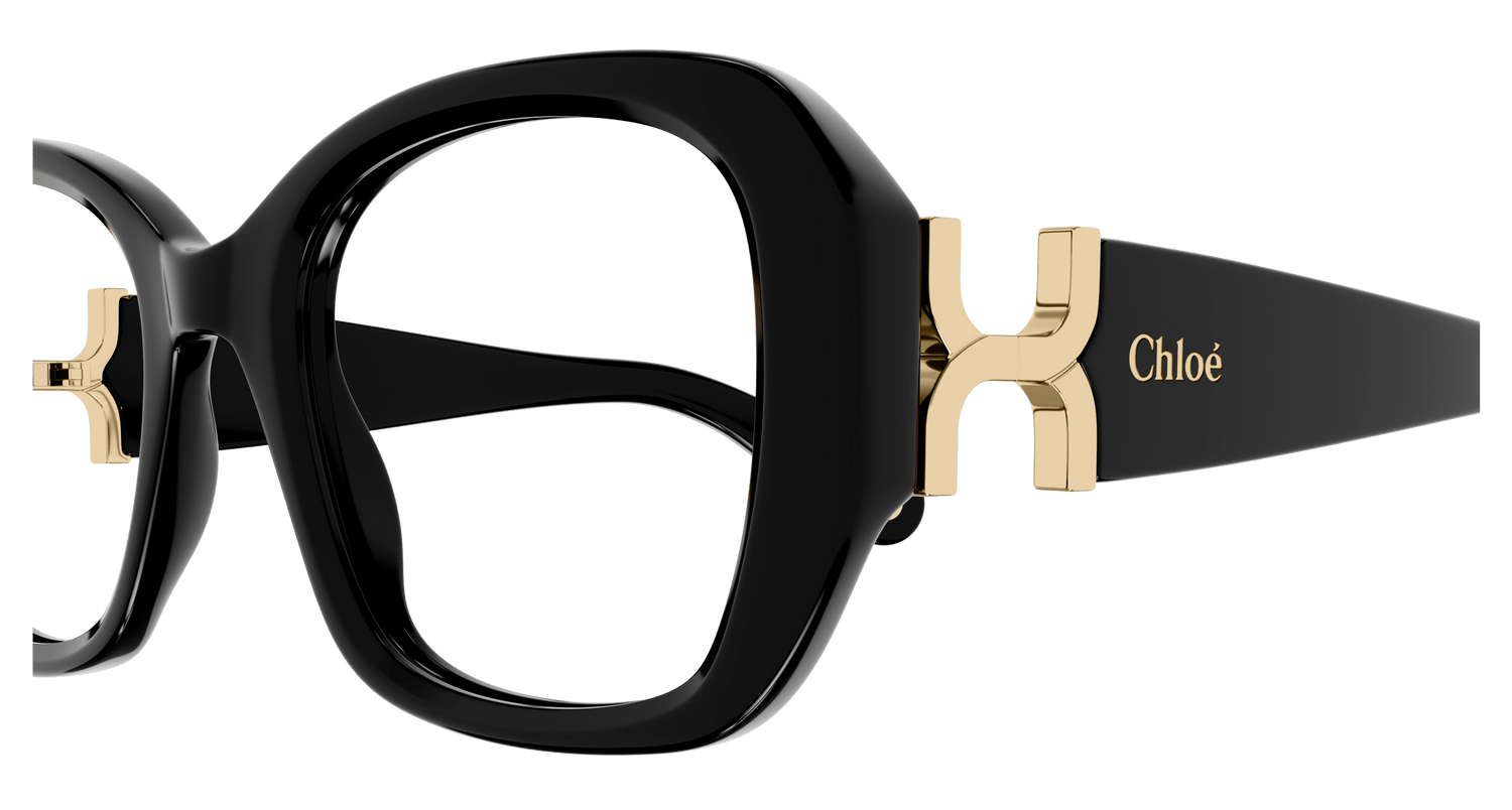 CHLOÉ CH0239O 001 51