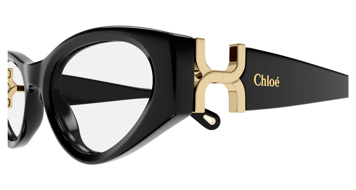 CHLOÉ CH0273O 001 53