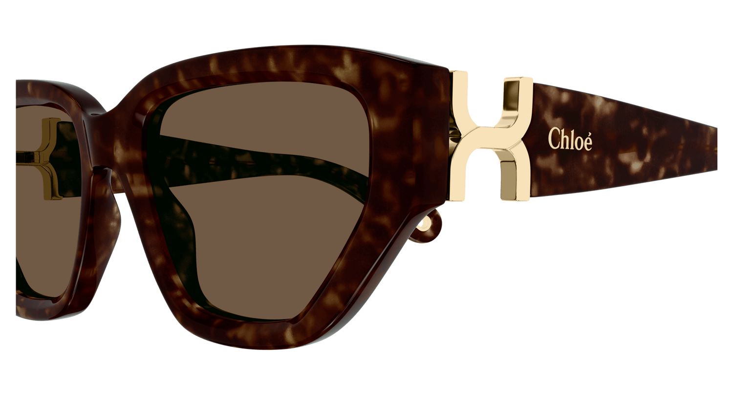 CHLOÉ CH0235S 002 55