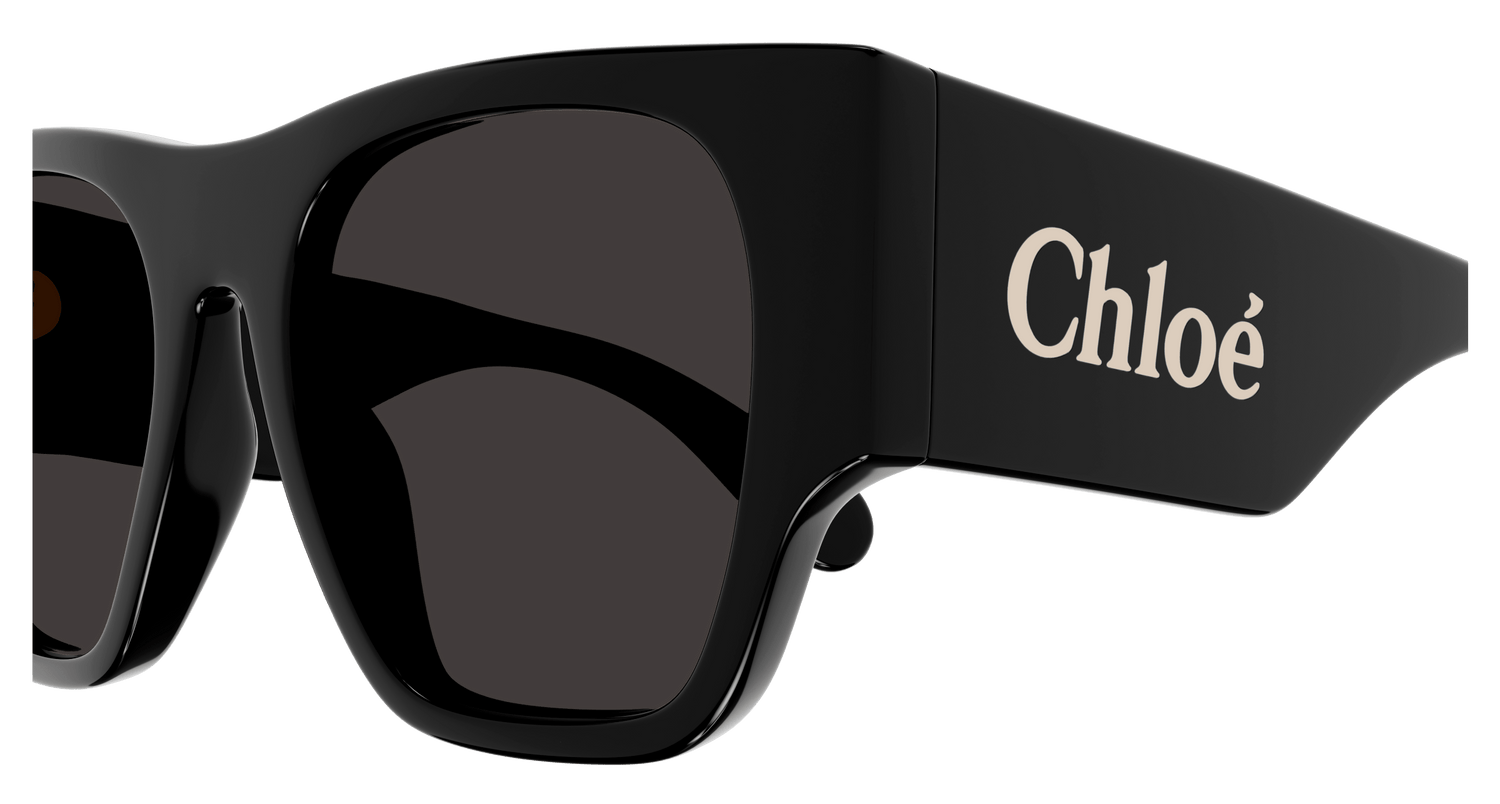 CHLOÉ CH0233S 001 53