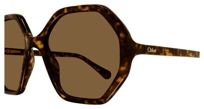 CHLOÉ CC0004S 008 51