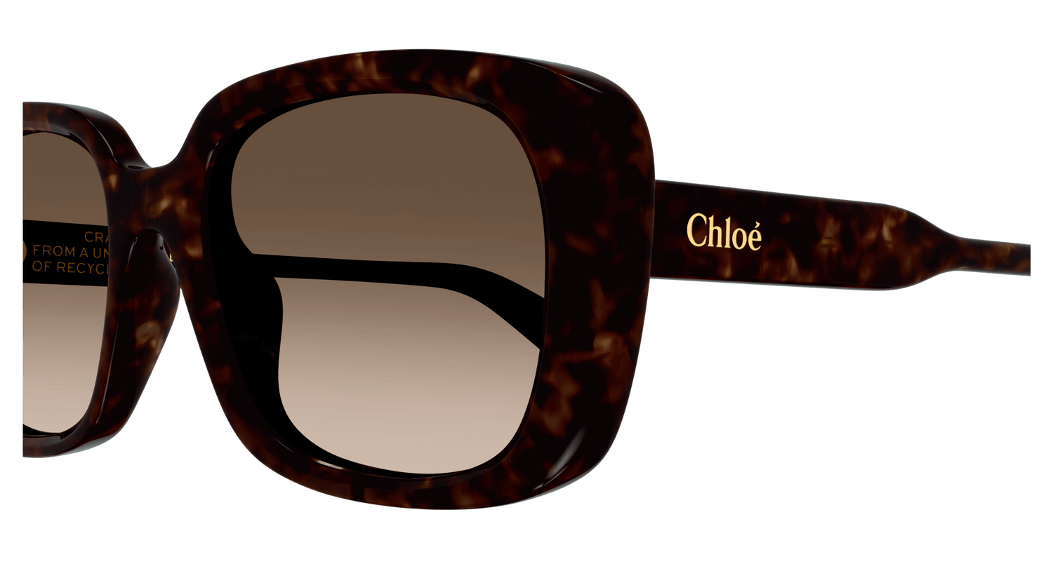 CHLOÉ CH0225SK 002 55