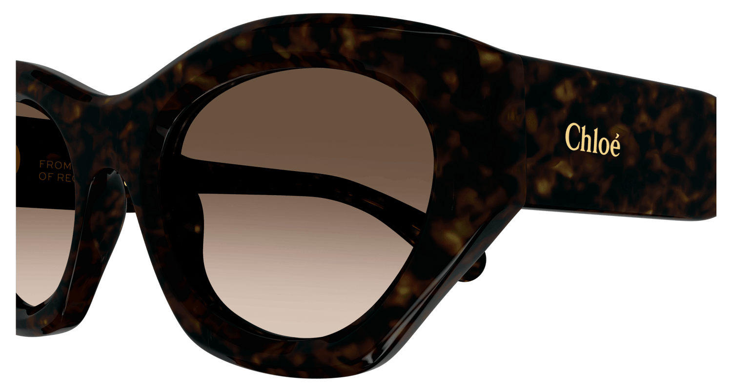 CHLOÉ CH0220S 002 53