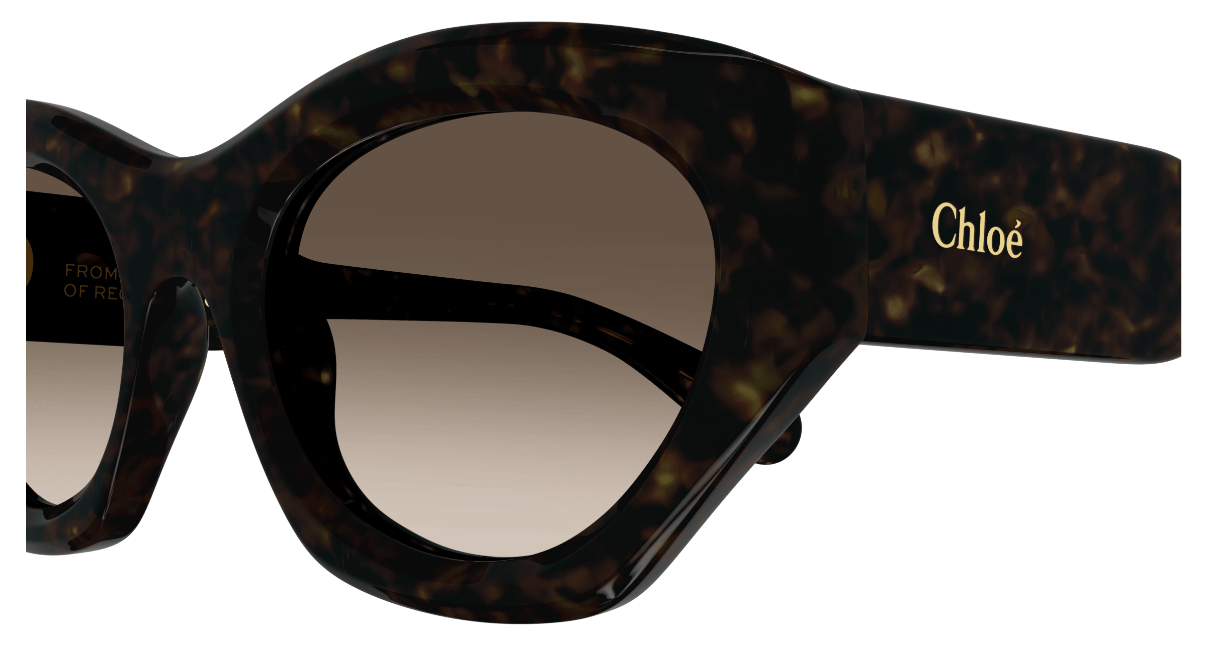 CHLOÉ CH0220S 002 53