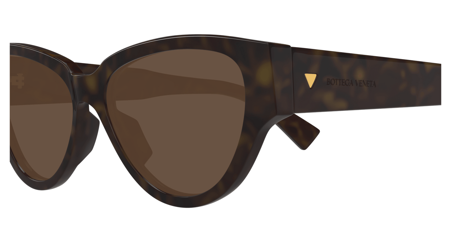 Bottega Veneta BV1319S 002 56