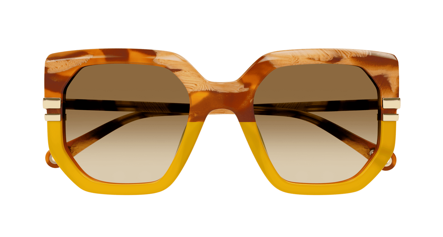 CHLOÉ CH0240S 004 53