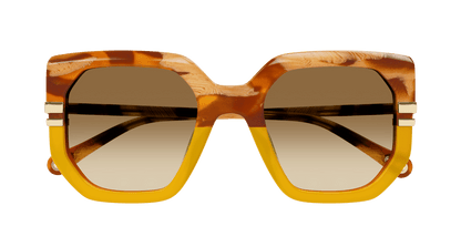 CHLOÉ CH0240S 004 53